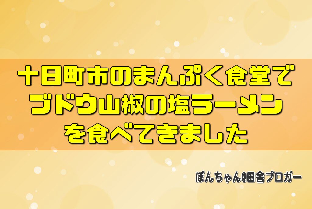 十日町市のまんぷく食堂でブドウ山椒の塩ラーメンを食べてきました
